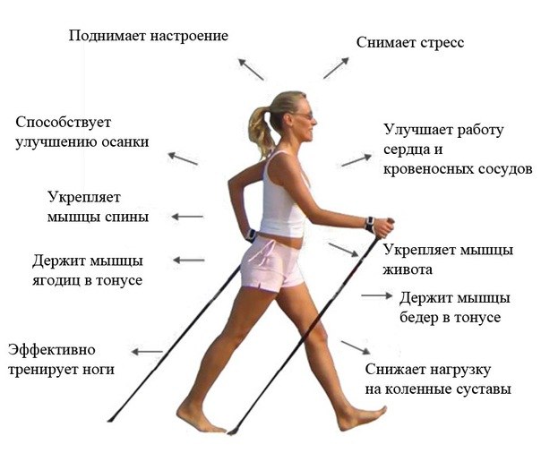 польза-скандинавской-ходьбы