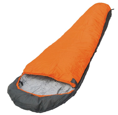 10-Vivid-300 10-Vivid-300